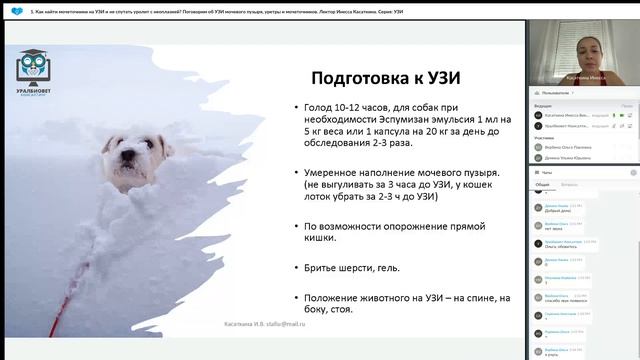 Как найти мочеточники на УЗИ и не спутать уролит с неоплазией? Лектор Инесса Касаткина