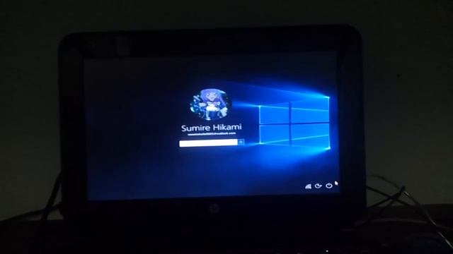 HP Mini 110-3558TU booting Windows 10 Pro (with fast startup)