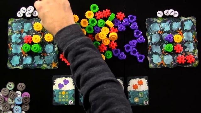Reef Rundown