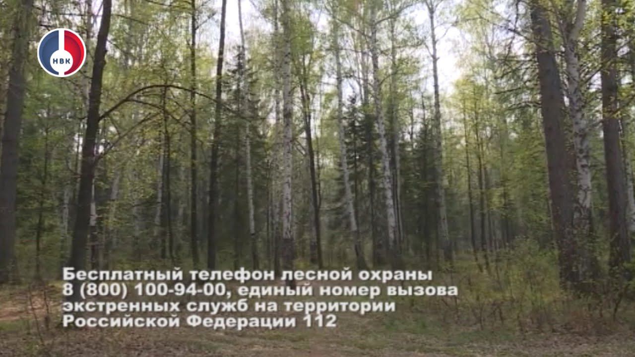 В регионе выявили более 200 нарушений особого противопожарного режима за неделю