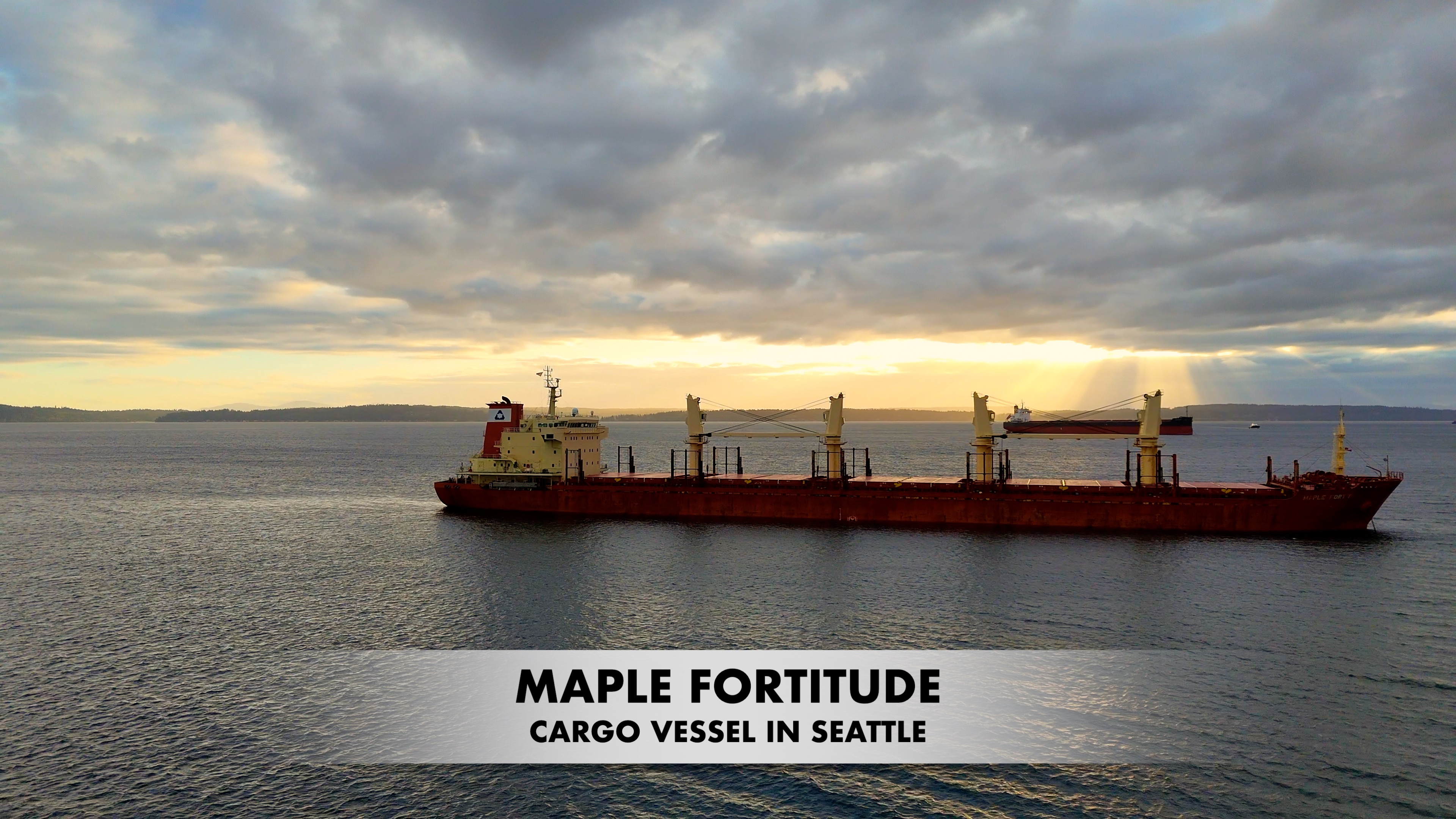 Anchored Giants: Big Cargo Vessels in Puget Sound
