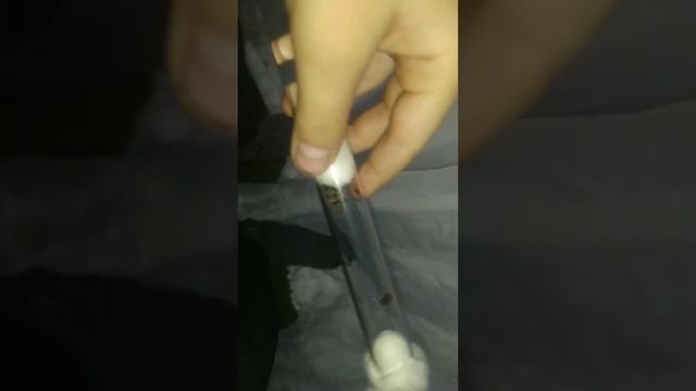 2часть развития муравьёв вида жнецы