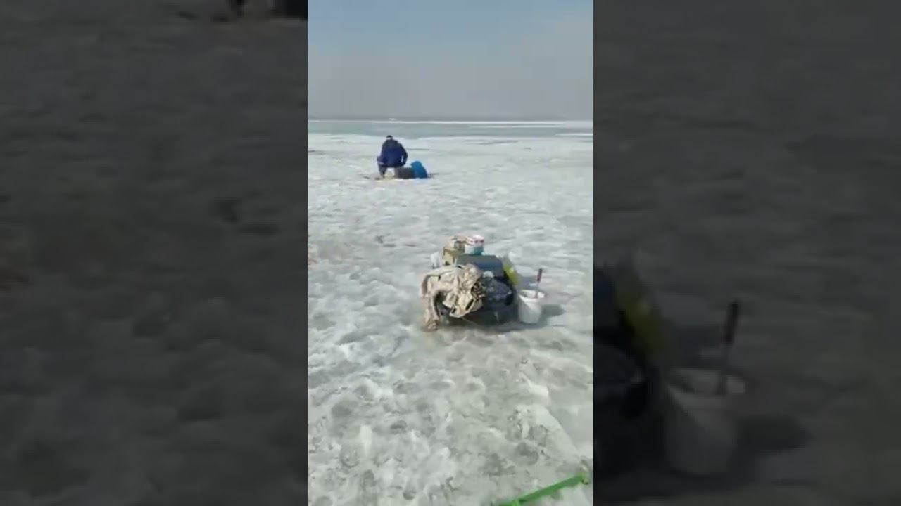 В последние зимние деньки толпы рыбаков ринулись за уловом. И нужно сказать, что рыбы много.