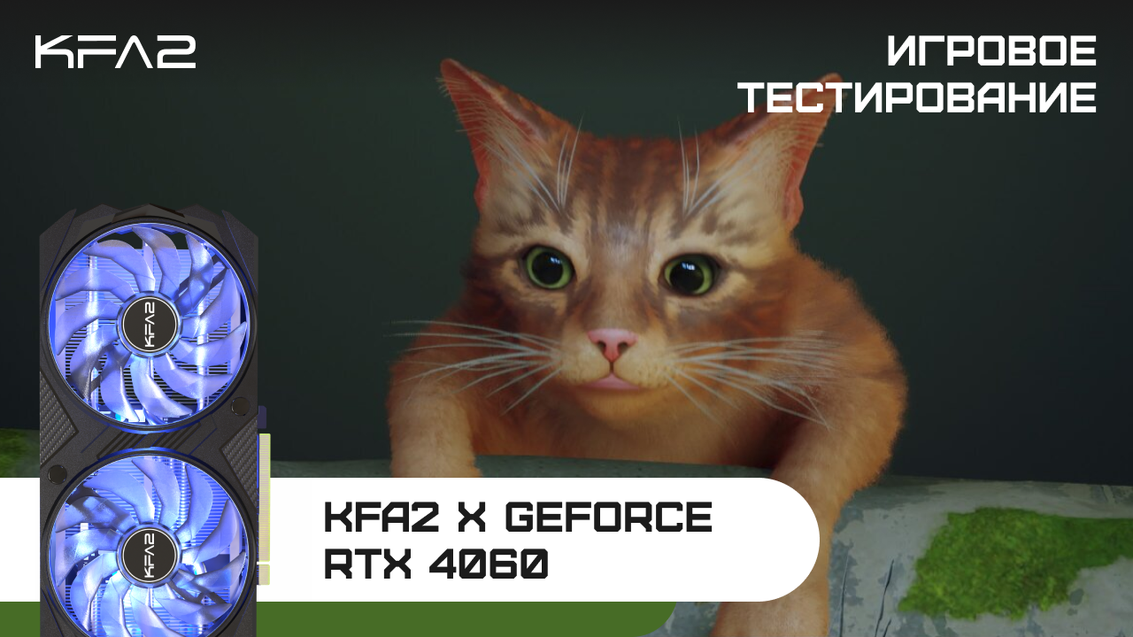 KFA2 X GeForce RTX 4060 Black | Stray | 1080p
