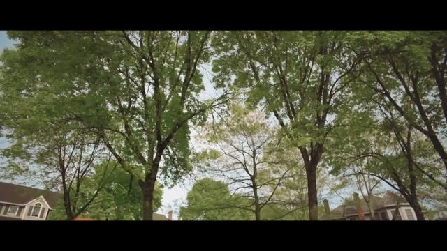 Oregon GatorSpeedLoad Fadenkopf - Mähfaden wickeln leicht gemacht.