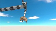 Speed Race Dinosaurs vs Animal Jurassic World Evolution - Animal Revolt Battle Simulator