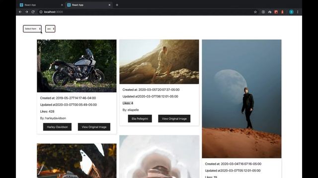 React JS Project || 00-What we are going to build