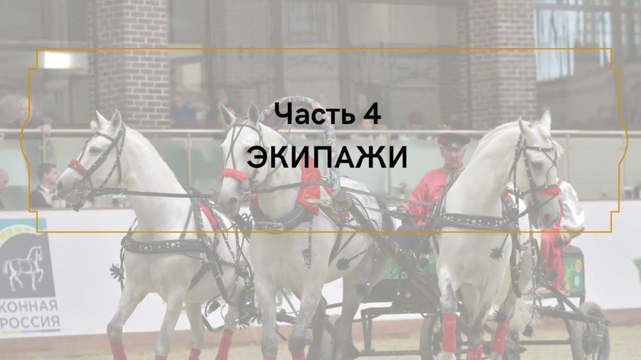 Русская экипажная езда и русская тройка. Выпуск 4