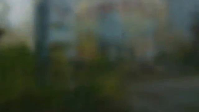 Борки северная окраина Петропавловска.