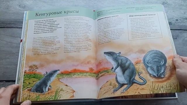 Вымершие животные. Полная энциклопедия