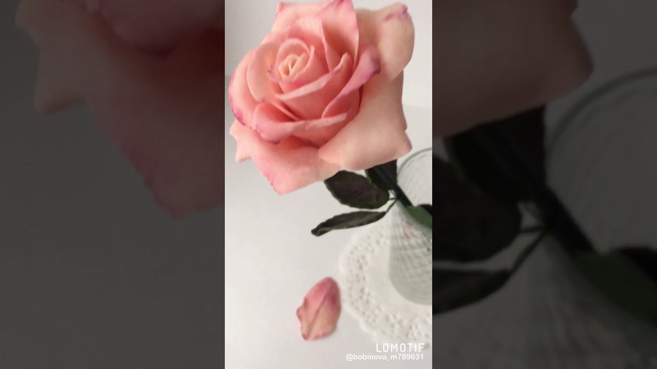 Авторская композиция из шоколада. Омск.