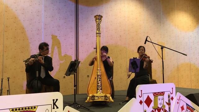 Harp, Flute & Violin Trio - Live entertainment for dinner events