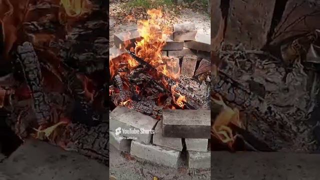 Костёр 🔥.mp4