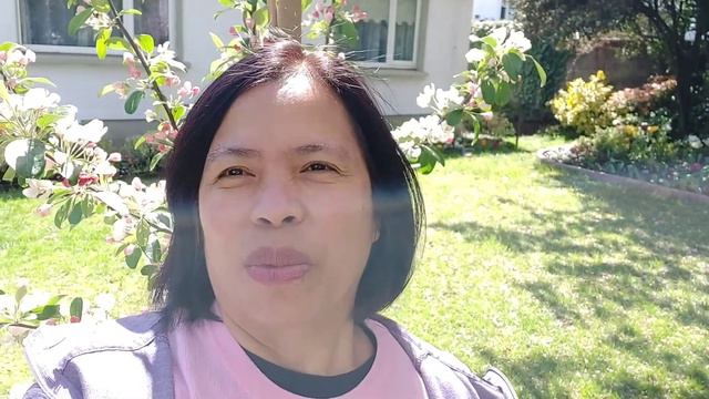 Hanging basket project @marilynapilan.143