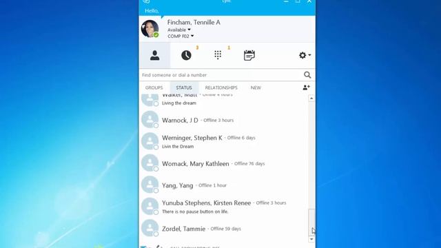 Skype Basics - Using the Interface