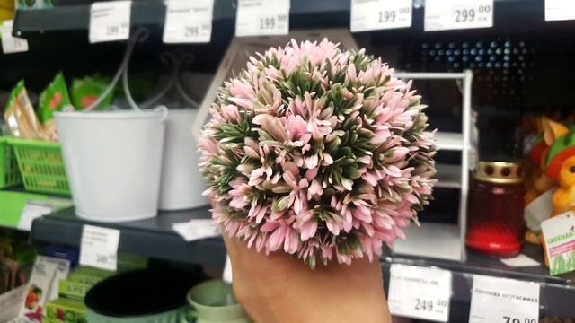 ⚘ФИКС ПРАЙС?САД - ОГОРОД