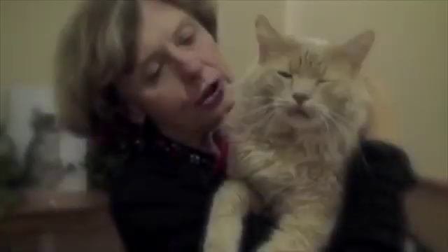 Home 4 The Holidays Cat Commercial 2011