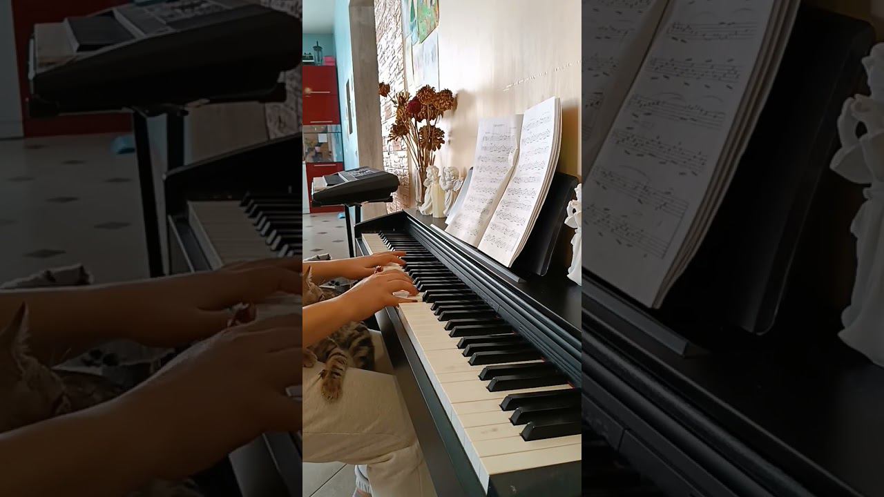 М. Варкентин – Светлая мечта #relax #piano #pianomusic #фортепиано #pianosolo