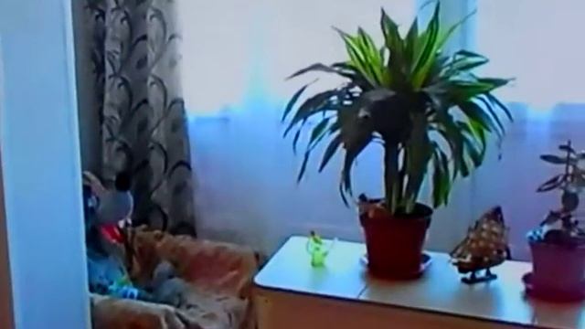 снять квартиру на часы в минске недорого 2