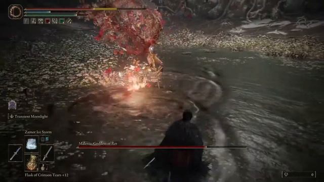 Git Gud 2: Malenia's Rotten Day