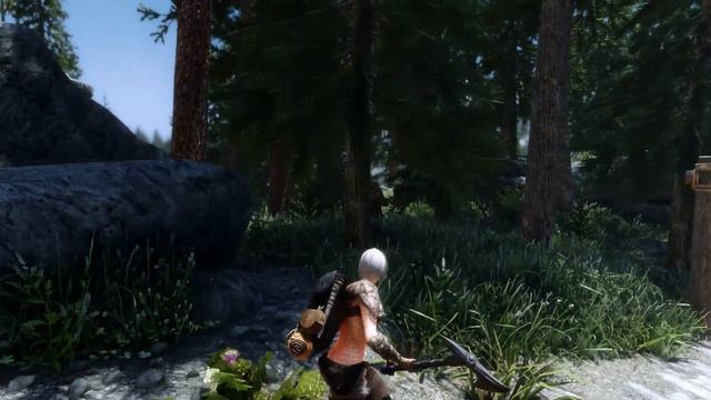 The Elder Scrolls V: Skyrim Special Edition Graphics mod 2020