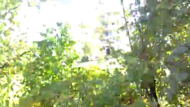 МИСИЯ:КАБАЧЁК
