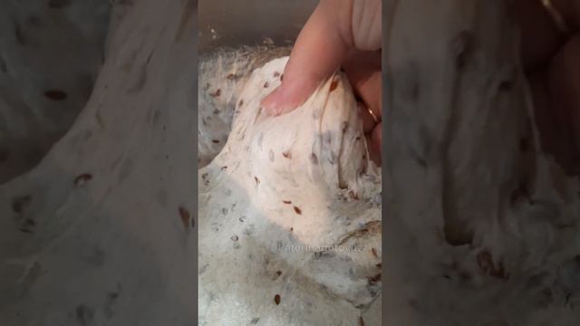 Очень вкусный ХЛЕБ .Получится у любого.Долго остаётся мягким.