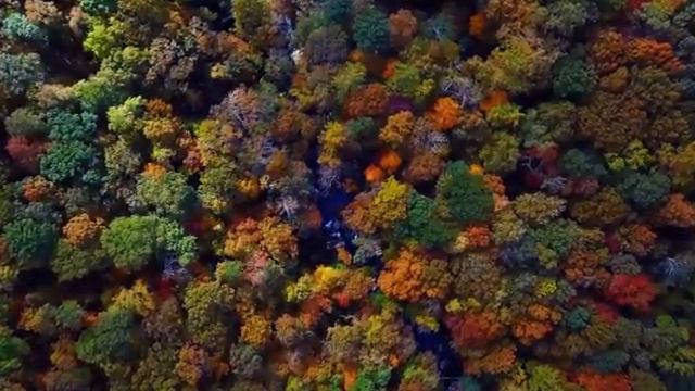 Овдовев и оставшись с 3 детьми на руках, Света уехала в тайгу. А найдя за домом упавший самолёт...