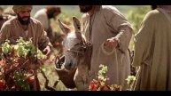 Притча о работниках в винограднике (Мф. 2:01-16)