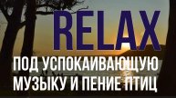 ? ? ? RELAX — МУЗЫКА. У РЕКИ, ПОД УСПОКАИВАЮЩУЮ МУЗЫКУ И ПЕНИЕ ПТИЦ