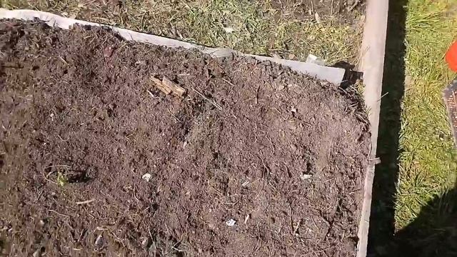 Посадка лука-севка???