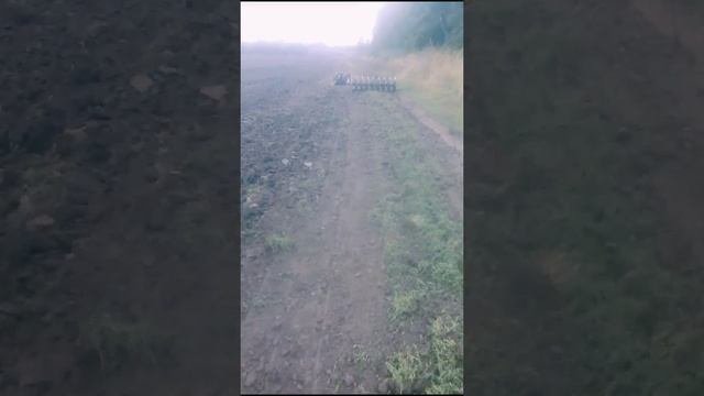 капец