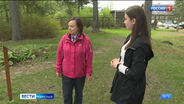 В Ботаническом саду Петрозаводского университета зацвели сливы, алыча и груши