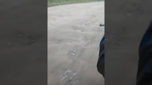 Тест драйв Wellsa 250  на суровых Русских дорогах