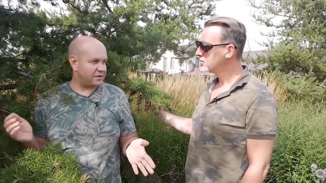 Как поживает ландшафтный сад дизайнера Виктора Тропченко спустя 4 года после создания