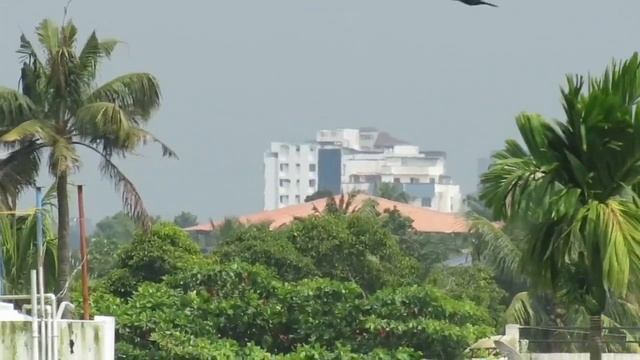Zoom test Canon PowerShot SX540 HS