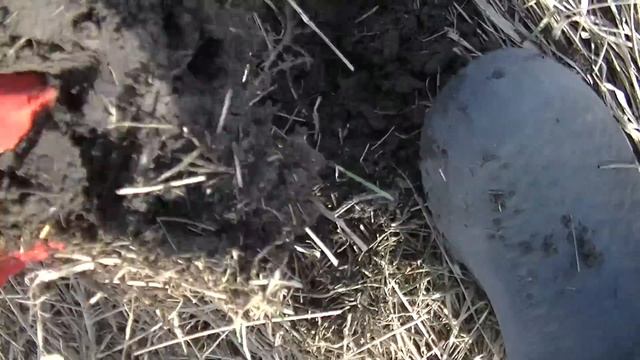 ОБНАРУЖИЛА СТОЛЬКО ХАБАРА, ЧТО ЕЛЕ УВЕЗЛА. Находок целый мешок. Путешествие с металлоискателем