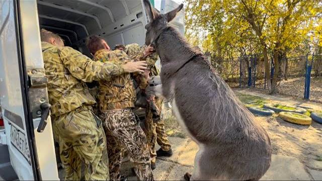 Мы в ХЕРСОНЕ! Канонада совсем близко, нужно уезжать!