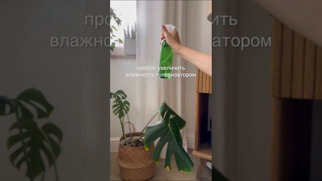 Метеостанция Xiaomi Mijia Bluetooth. Больше ШОТОВ от блогеров на Яндекс Маркете