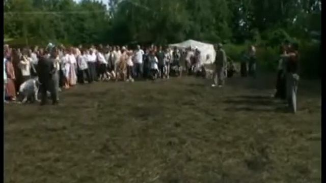 Накат без контактное воздействие Цигун   аналог