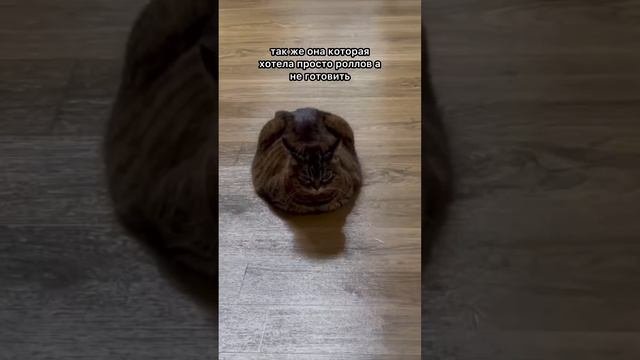 Иногда мысли не сходятся 😅😂