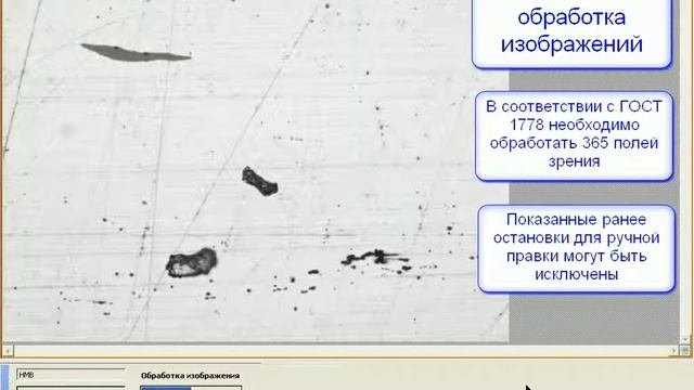Неметаллические включения