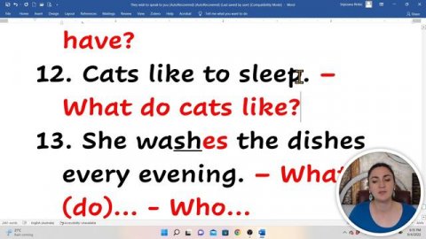 DA POSTANETE FLUENTNI STO PRIJE! - PRESENT SIMPLE - WHO? WHAT? WHERE?
