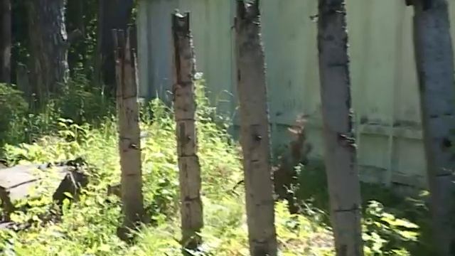 Начало благоустройства парка Химик в Алексине 2018 год