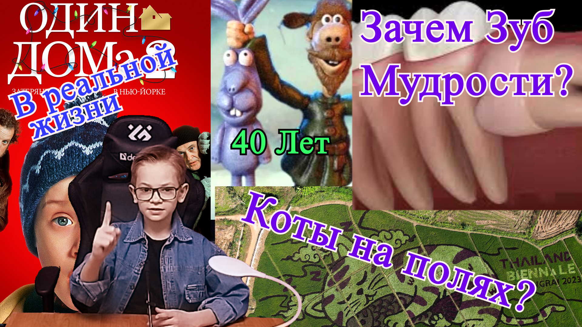 Невзрослые новости  13 выпуск! Вы слышали?