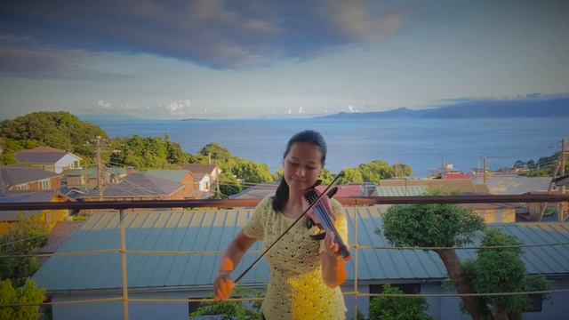 PAPARAZZI~ Violin Cover
