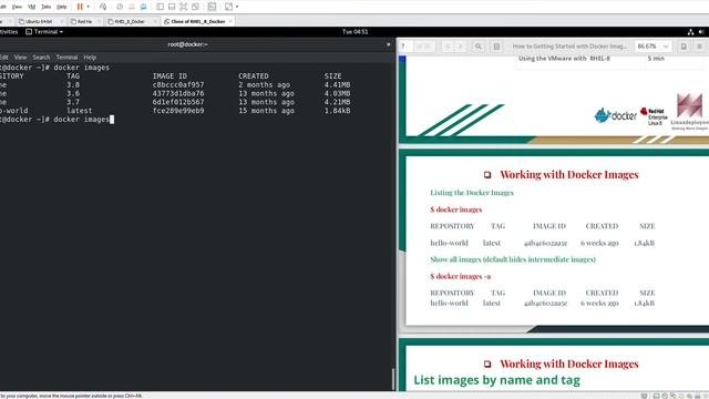 How To Getting Started With Docker Image || Part -1 || Docker Basic || RHEL 8 || Hello World Exampl