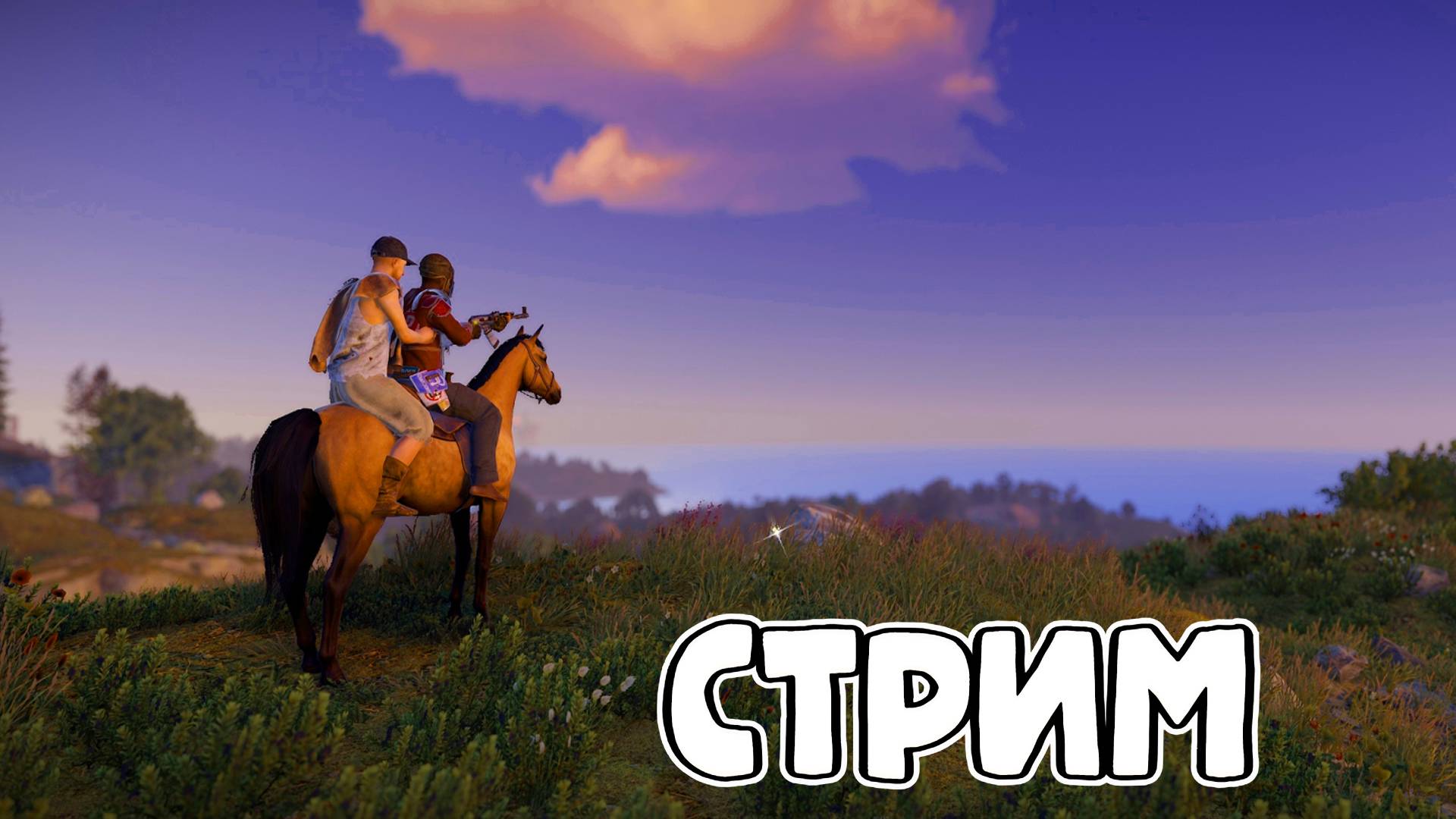 Наше невероятное выживание на сервере Rust