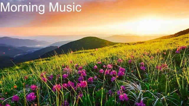 Невероятная красивая музыка Нежной любви! Хочется слушать снова и снова! Лучшая музыка С Чекалина