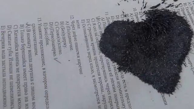 Прикол с опилками! ?